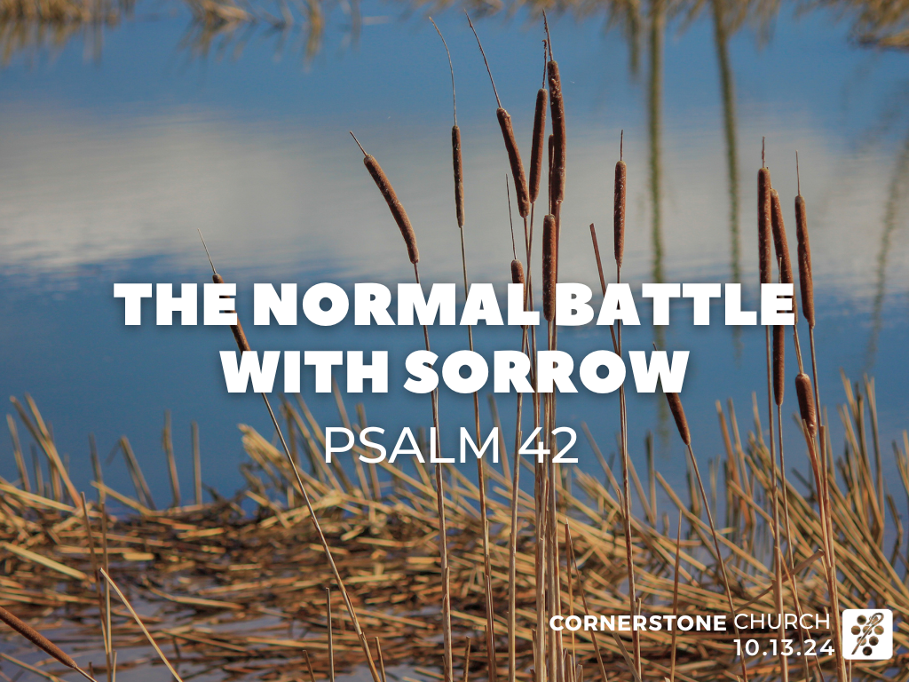 Sunday Slide 10.13.24